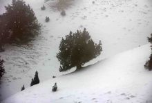 گزارش تصویری از یک روز برفی در شاهرود